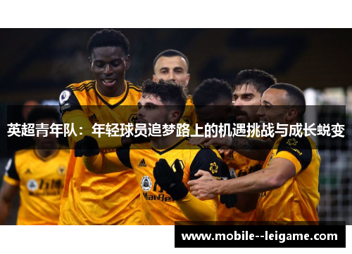 英超青年队：年轻球员追梦路上的机遇挑战与成长蜕变