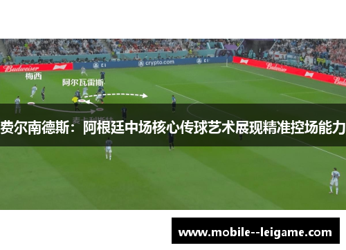 费尔南德斯：阿根廷中场核心传球艺术展现精准控场能力