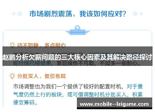 赵鹏分析欠薪问题的三大核心因素及其解决路径探讨