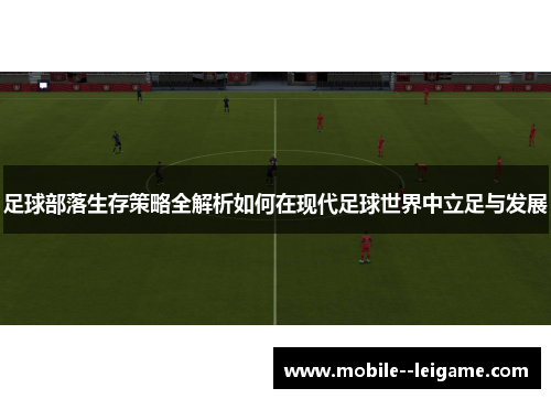 足球部落生存策略全解析如何在现代足球世界中立足与发展