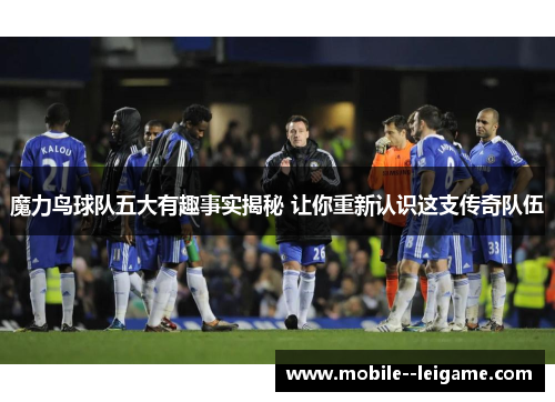 魔力鸟球队五大有趣事实揭秘 让你重新认识这支传奇队伍 魔力鸟球队五大有趣事实揭秘 让你重新认识这支传奇队伍